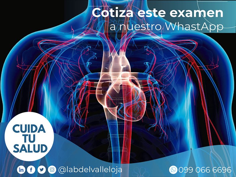 analisis Perfil Cardiovascular