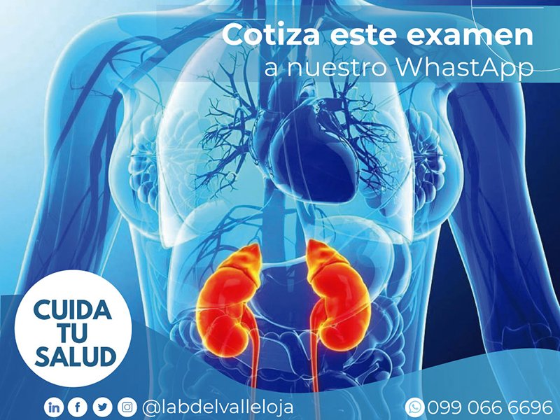 analisis Perfil Renal